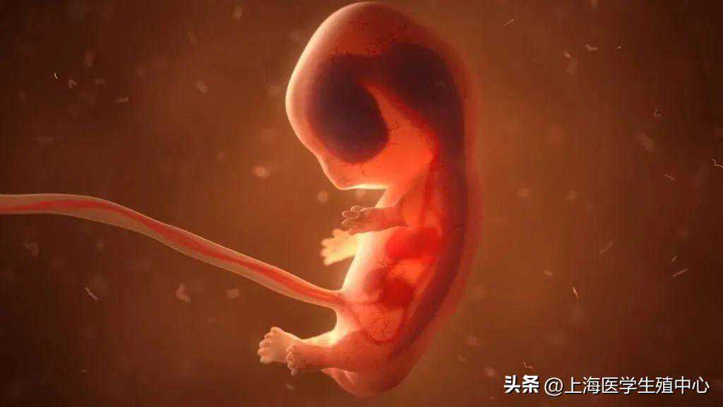 试管婴儿反复失败，是什么原因导致的？