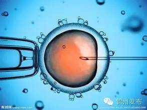 锦州试管婴儿胚胎移植成功！辽西首例！