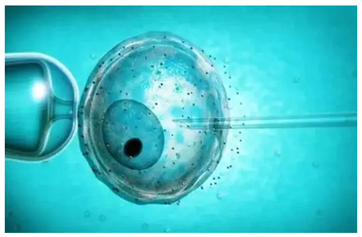 试管婴儿取卵后这样做，对卵巢更好！