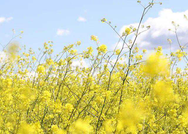 做试管婴儿需不需要辞职？