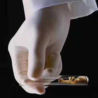 做试管婴儿常遇到的几个问题！