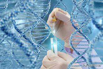 无痛取卵术 让“试管”之路更舒适！