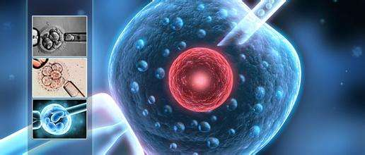 莲花宝宝：试管婴儿取卵会导致卵巢早衰吗？移植后怎么保养卵巢？