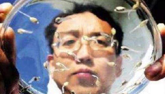 可别再傻傻分不清了，想要区分试管婴儿和人工授精，关键看这里