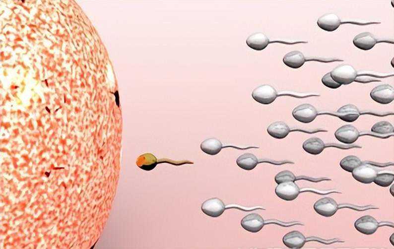 揭秘试管婴儿流程，不是体外受精这么简单，还得层层筛选培养