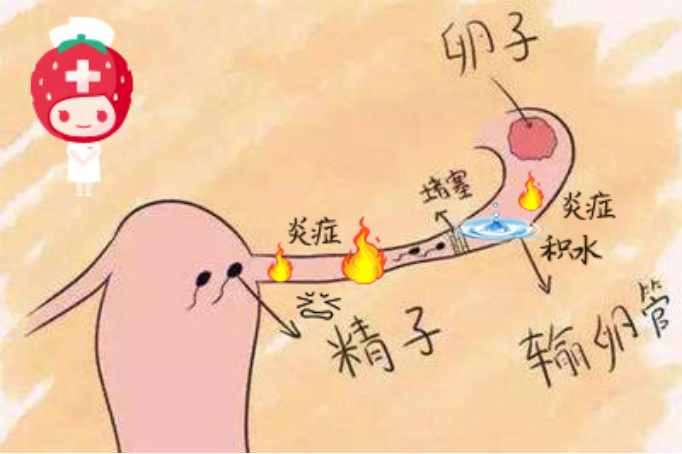 报喜万家！输卵管积水的她放弃做试管，却凭一剂中药喜获“好孕”