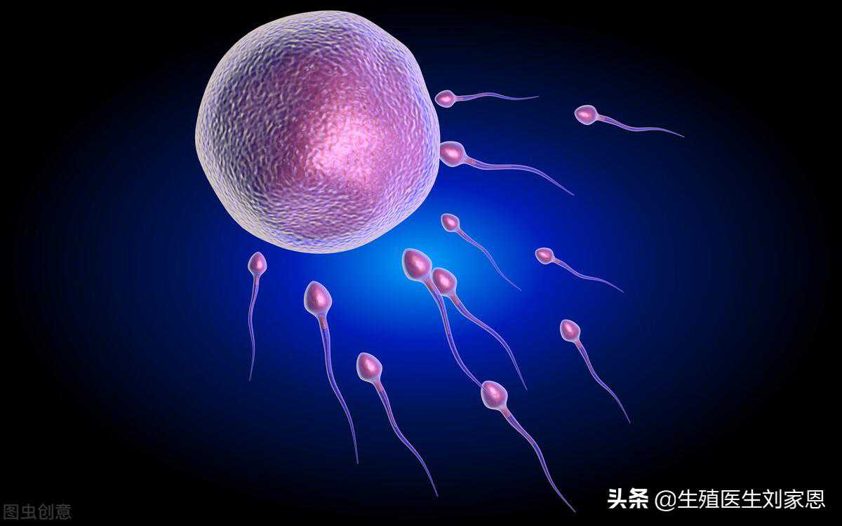 34岁白领不做试管，用这个方案一个多月怀孕！快看看适合你吗？