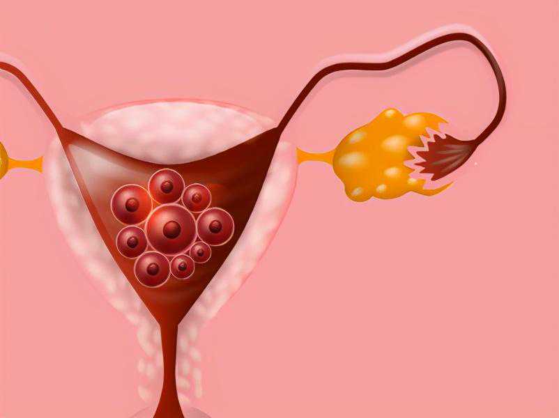 长期备孕困难？教你抓住排卵的黄金时间