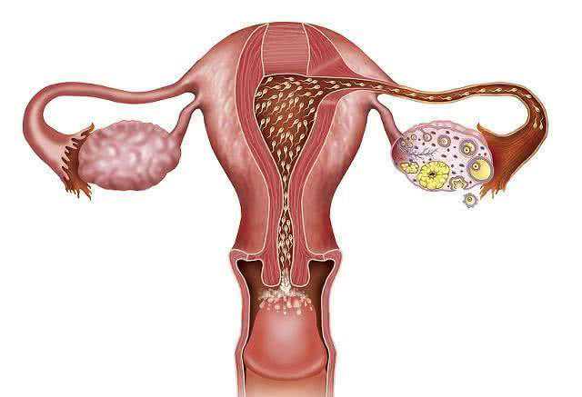 备孕时，用这3种方法找出“排卵期”，或许更准一些！