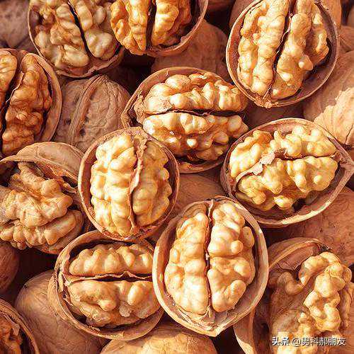 男性备孕，什么食物可以提高精子的质量？