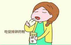 备孕小常识：什么情况下需要促排卵？