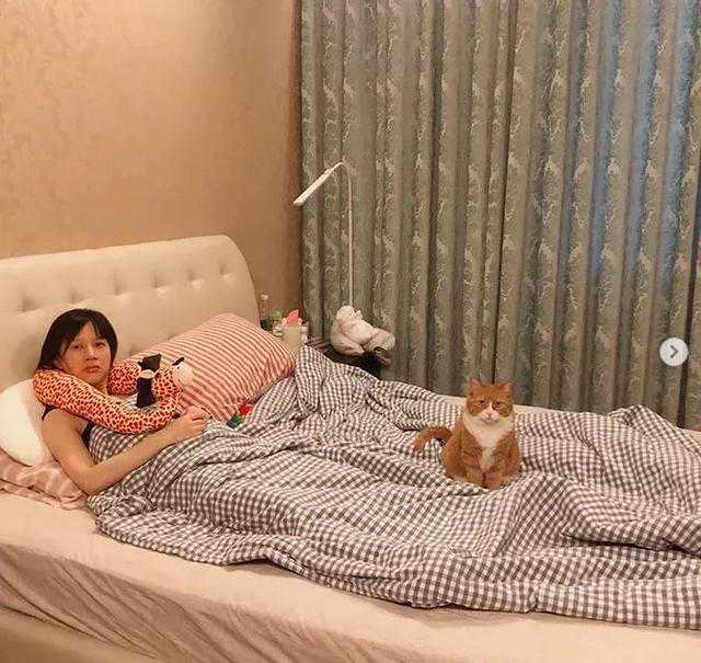 备孕两年一直怀不上，老公和公婆觉得是猫的问题