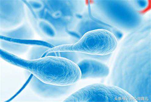 备孕路上：怎样提高受孕几率，快速怀上小宝宝？