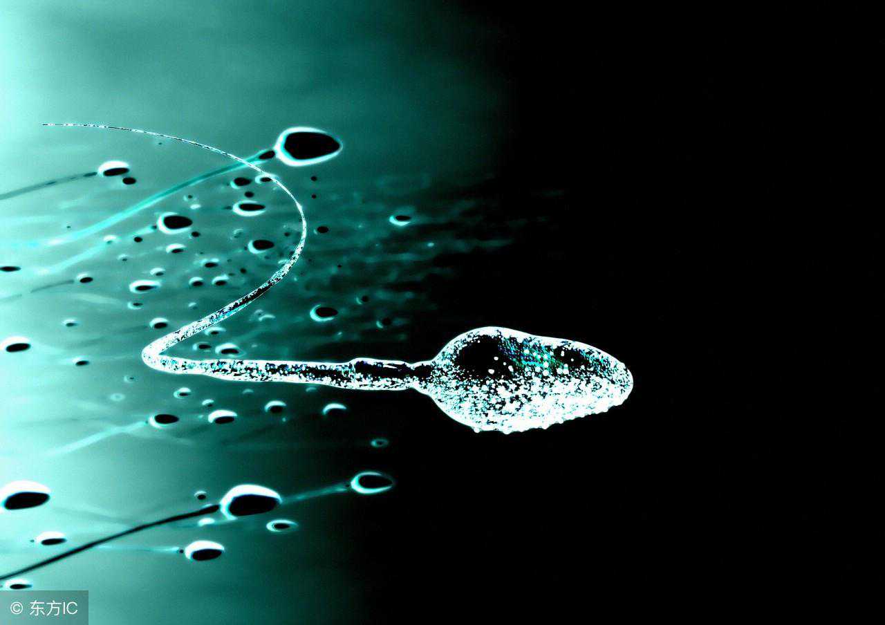 除了进行精子检查，备孕男性还要做好5个准备以提高受孕率