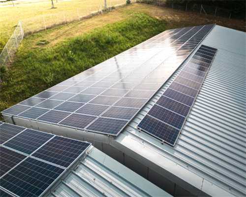 一般女性有多少个卵泡