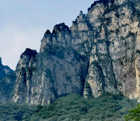 试管移植后单卵为什么会裂变成双胎?