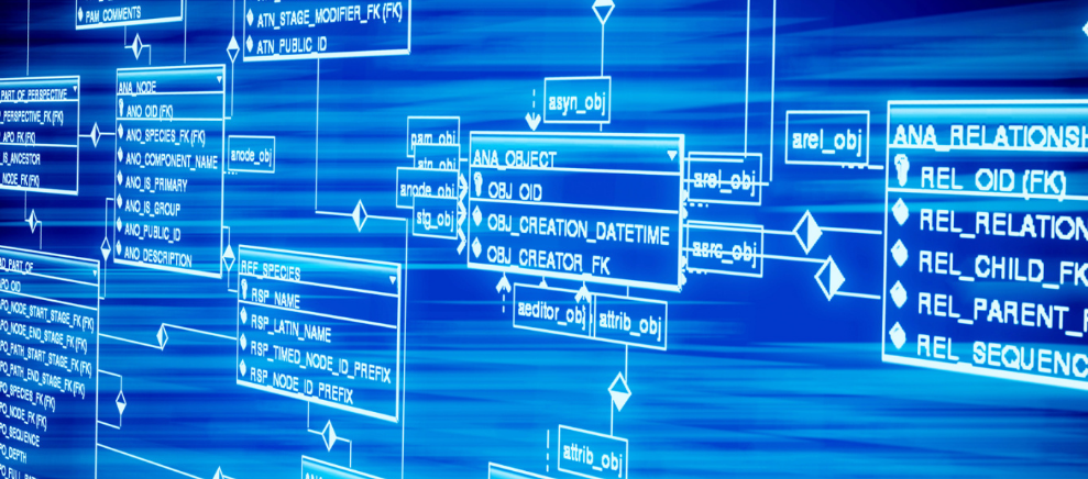 子宫内膜异位症做试管成功率高吗？