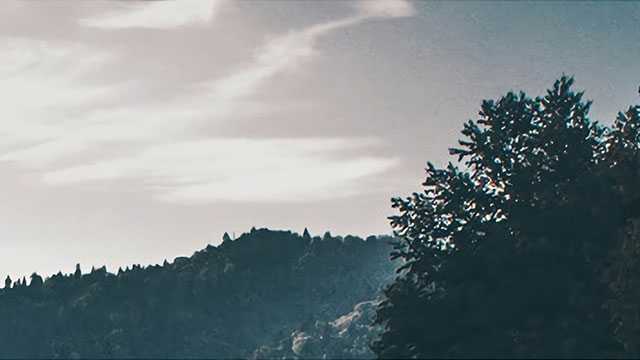 试管婴儿是否能够避免遗传病？