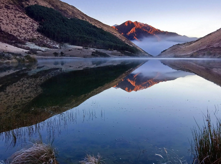 试管婴儿做双胞胎成功率高吗